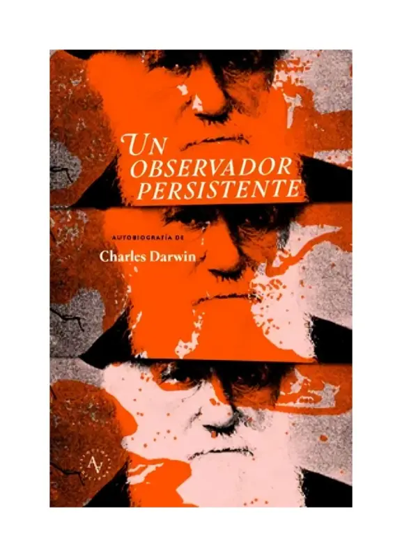 Un Observador Persistente