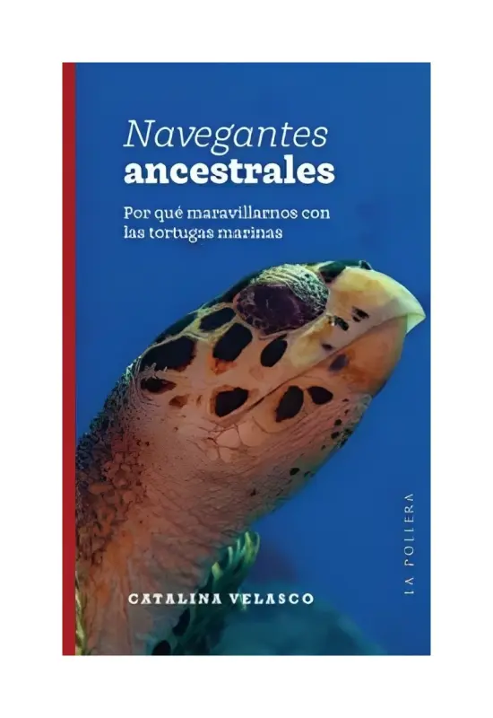 Navegantes Ancestrales