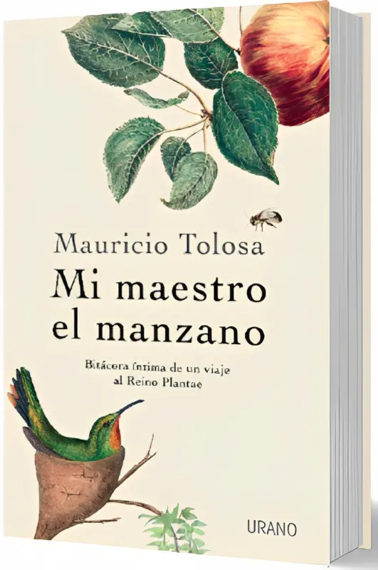 Mi Maestro El Manzano