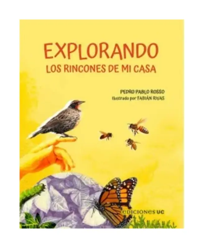 Explorando Los Rincones De Mi Casa