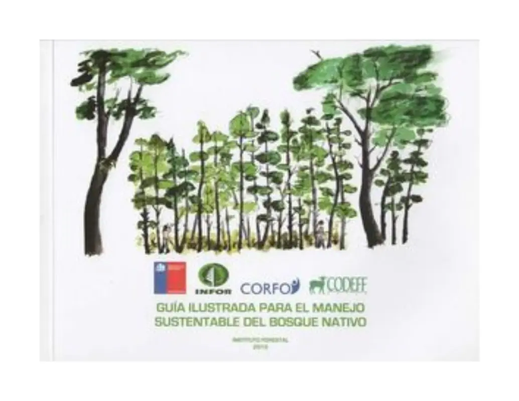 Guia Ilustrada Para El Manejo Sustentable Del Bosque Nativo