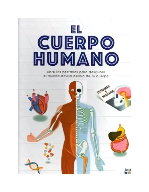 El Cuerpo Humano - Descubre Y Aprende -
