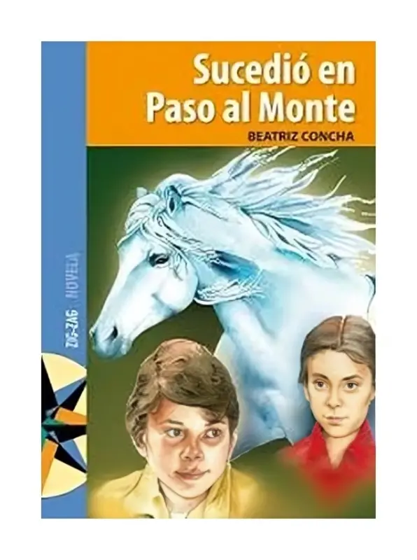 SUCEDIO EN PASO AL MONTE