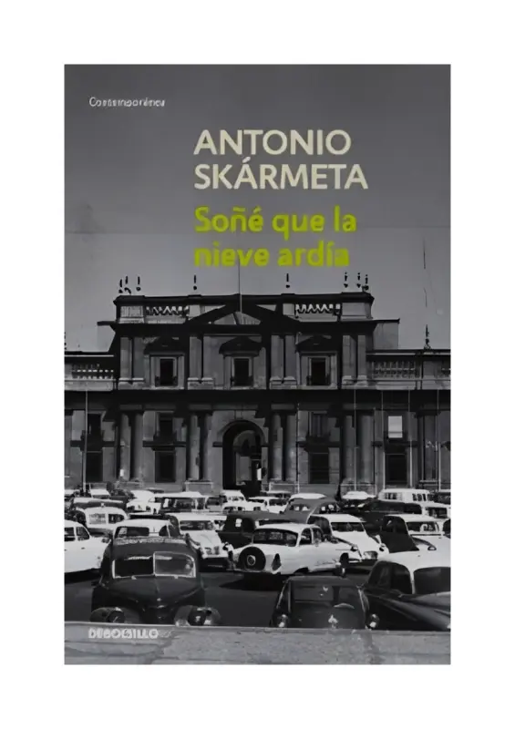 SONE QUE LA NIEVE ARDIA