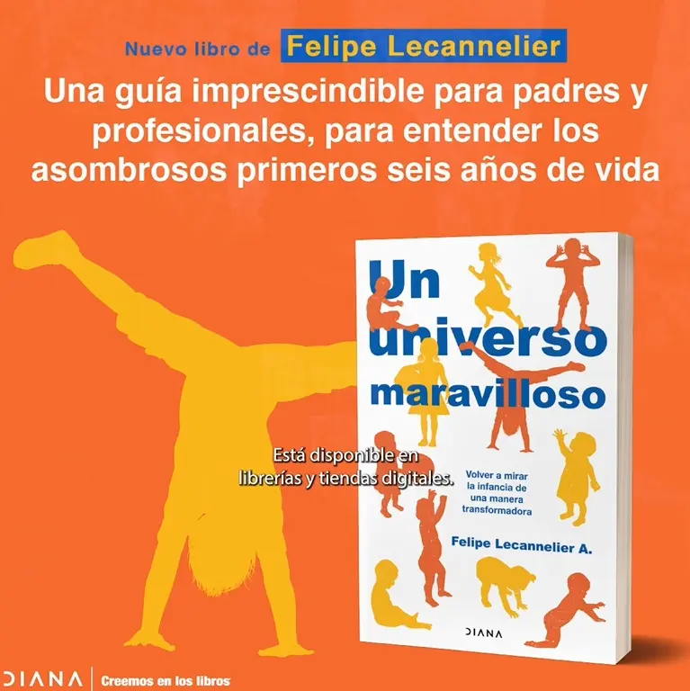 Un Universo Maravilloso