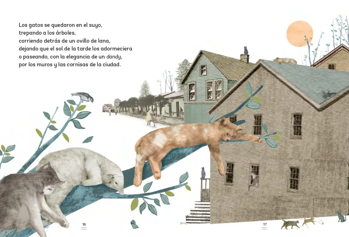 El Secreto De Los Gatos