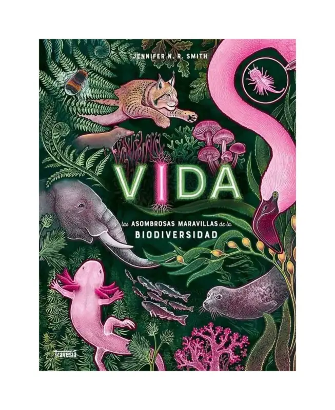 Vida