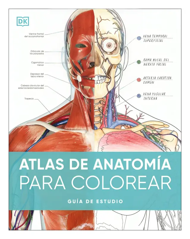 Atlas De Anatomia Para Colorear