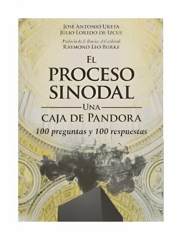 El Proceso Sinodal. Una Caja De Pandora