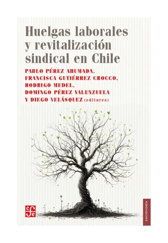 Huelgas Laborales Y Revitalización Sindical En Chile