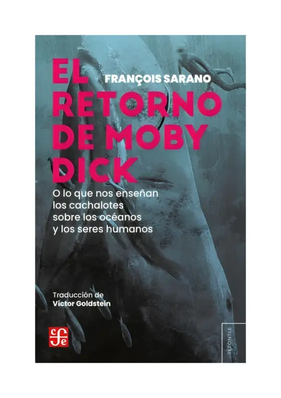 El Regreso De Moby Dick, O Lo Que Nos Enseñan Los Cachalotes Sobre Los Océanos Y Los Seres Humanos