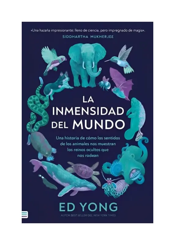 La Inmensidad Del Mundo