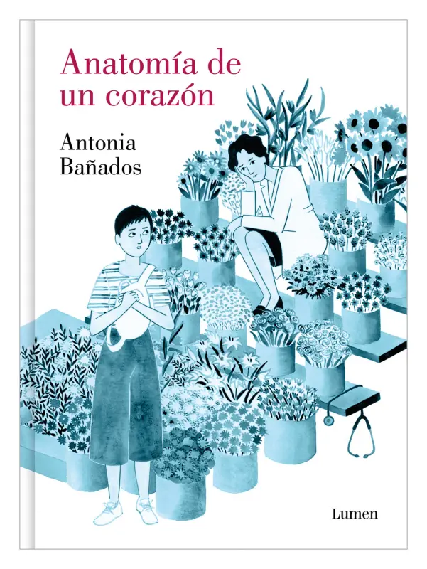 Anatomía De Un Corazón