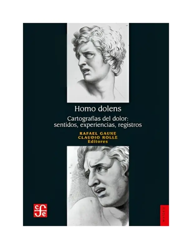 Homo Dolens. Cartografias Del Dolor, Sentidos, Experiencias