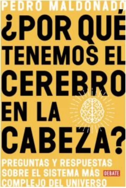 ¿por Que Tenemos El Cerebro En La Cabeza?