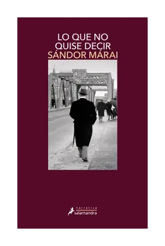 Lo Que No Quise Decir