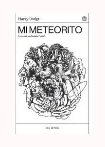 Mi Meteorito