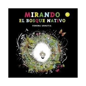 Mirando El Bosque Nativo