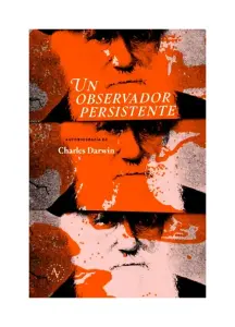 Un Observador Persistente