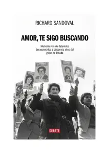 Te Sigo Buscando Amor