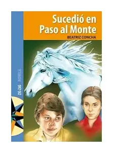 SUCEDIO EN PASO AL MONTE