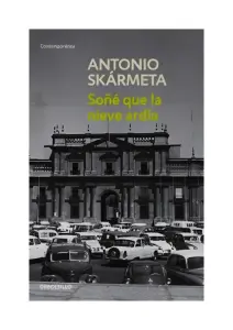 SONE QUE LA NIEVE ARDIA