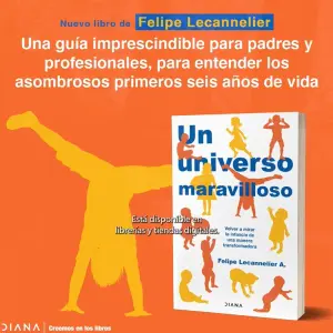 Un Universo Maravilloso