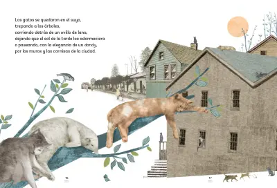 El Secreto De Los Gatos