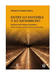 Entre Lo Invisible Y Lo Asombroso