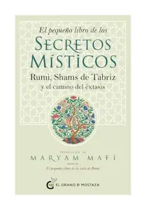 El Pequeño Libro De Los Secretos Misticos