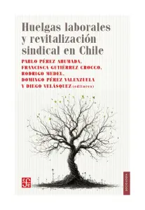 Huelgas Laborales Y Revitalización Sindical En Chile