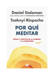 Por Qué Meditar