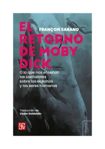 El Regreso De Moby Dick, O Lo Que Nos Enseñan Los Cachalotes Sobre Los Océanos Y Los Seres Humanos