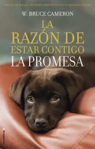 La Razon De Estar Contigo - La Promesa