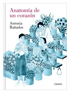 Anatomía De Un Corazón