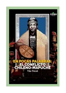En Pocas Palabras: El Conficto Chileno-Mapuche