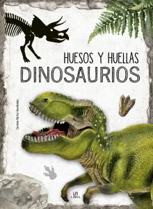 Huesos Y Huellas Dinosaurios