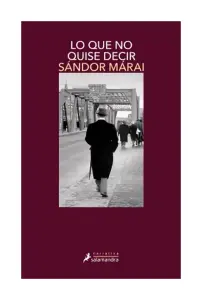 Lo Que No Quise Decir