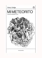 Mi Meteorito