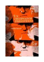 Un Observador Persistente
