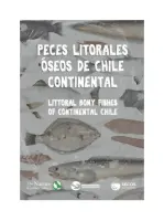 Peces Litorales Óseos De Chile Continental