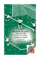 Milagro De Junio. Colo-Colo 1991, Campeón De América