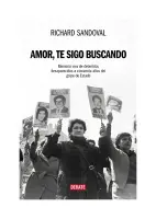 Te Sigo Buscando Amor