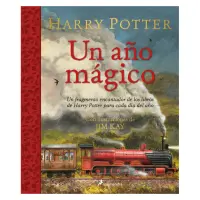 Harry Potter: Un Ano Magico