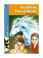 SUCEDIO EN PASO AL MONTE