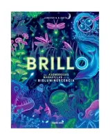 Brillo