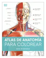Atlas De Anatomia Para Colorear