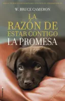 La Razon De Estar Contigo - La Promesa
