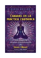 Chakras En La Practica Chamanica