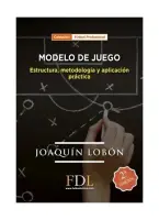 Modelo De Juego Estructura Metodologia Y Aplicacion Practica